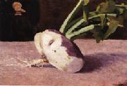 Odilon Redon Celery Root oil painting picture wholesale